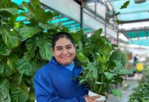 Inclusive Greenhouses in the Region Employing People with Disabilities
