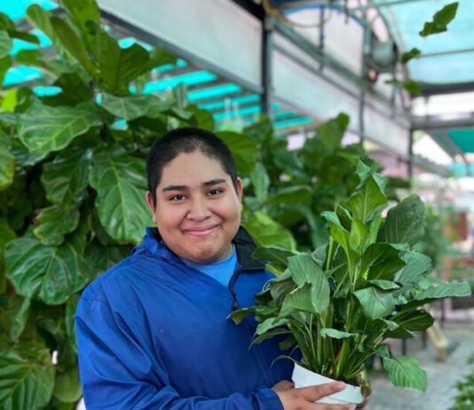 Inclusive Greenhouses in the Region Employing People with Disabilities