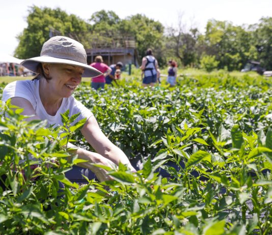 Climate and agriculture in Dallas