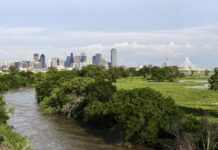 Environmental Situation in Dallas