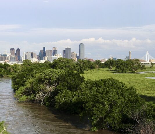 Environmental Situation in Dallas