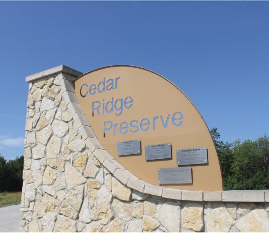 Cedar Ridge Preserve: Dallas’s Leading Eco Trend