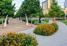 How Greening Took Place in the City of Dallas in the Mid-20th Century