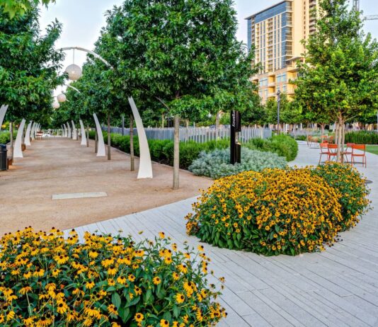 How Greening Took Place in the City of Dallas in the Mid-20th Century