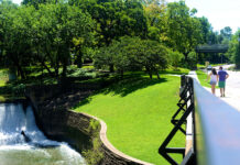 Зелений туризм у місті Даллас