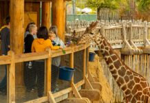 Dallas Zoo: известный зоопарк города