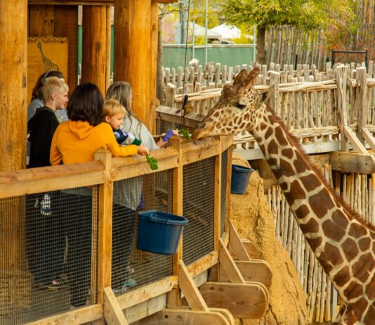 Dallas Zoo: A Well-Known City Zoo