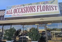 All Occasions Florist
