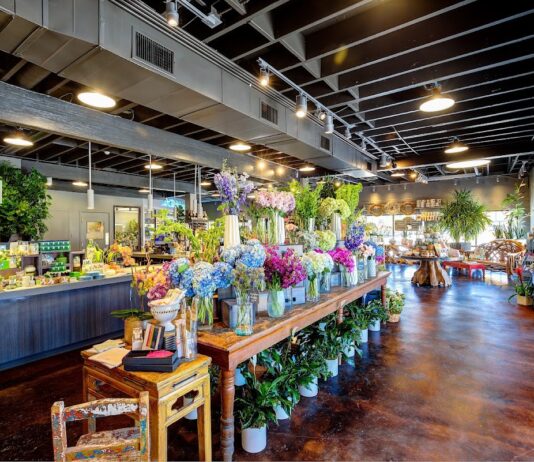 Dr Delphinium Designs & Events