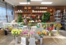 Petals & Stems Florist