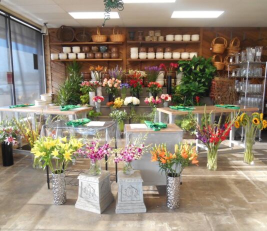 Petals & Stems Florist