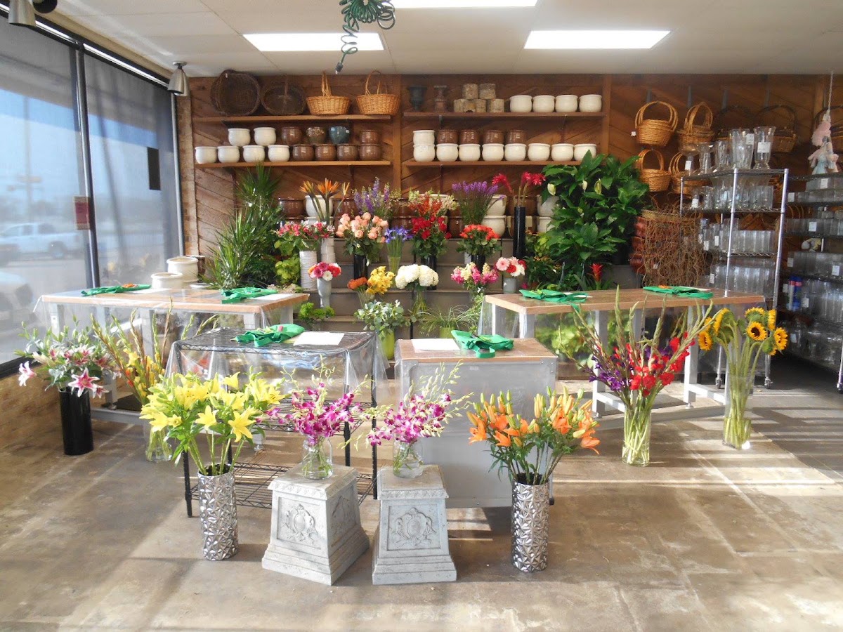 Petals & Stems Florist — Florist